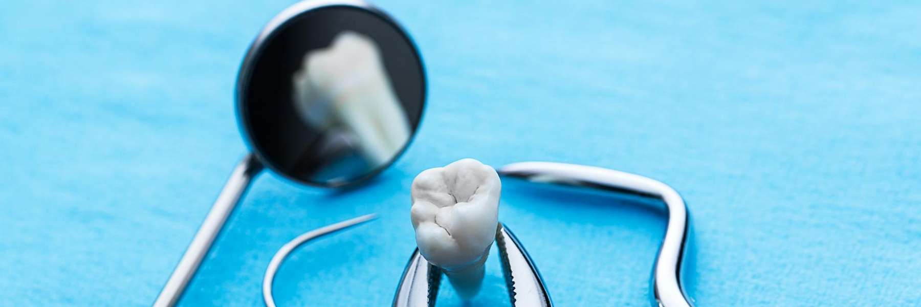 tooth and dental tools