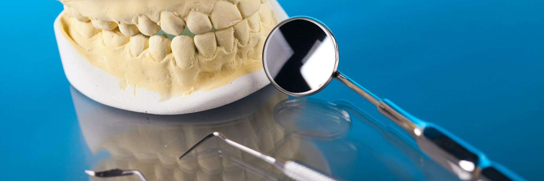 Periodontal Jaw Model